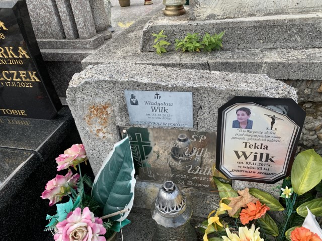 Zdjęcie grobu