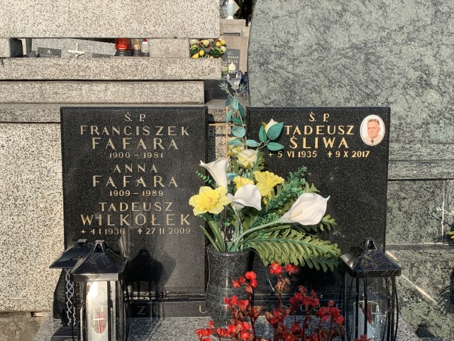 Tadeusz Wilkołek 1936 Myślenice - Grobonet - Wyszukiwarka osób pochowanych